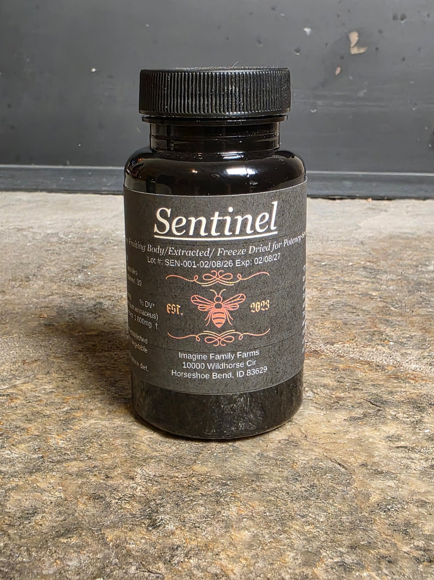 SENTINEL — HOLD THE LINE.