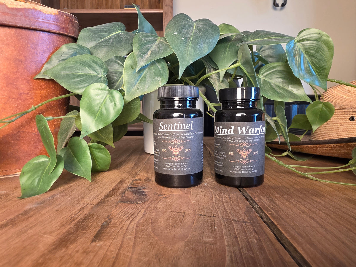 Lion's Mane & Black Pearl King Oyster Mushroom Supplement Bundle - Imagine Family Farms